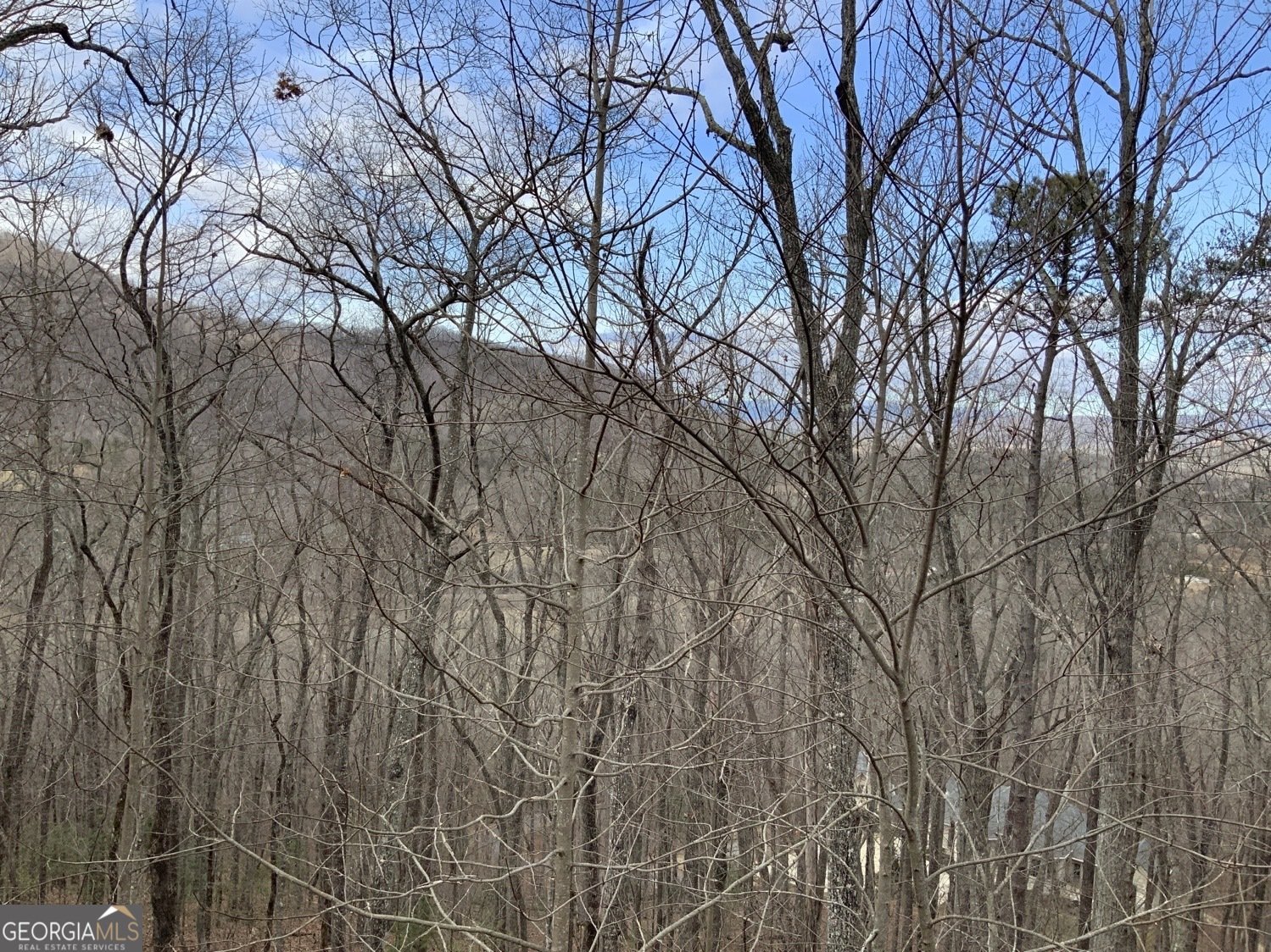 7026 Peebles Road Young Harris - Photo 29