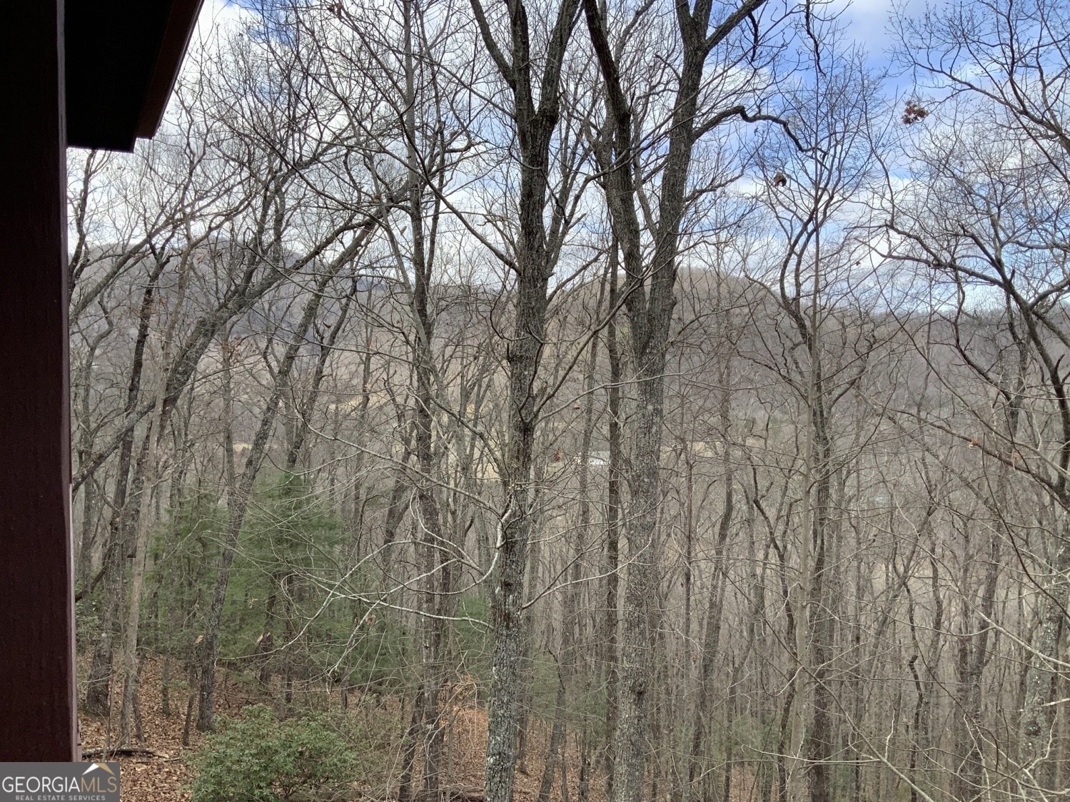 7026 Peebles Road Young Harris - Photo 30