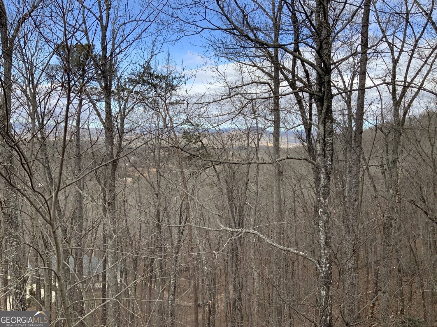 7026 Peebles Road Young Harris - Photo 31