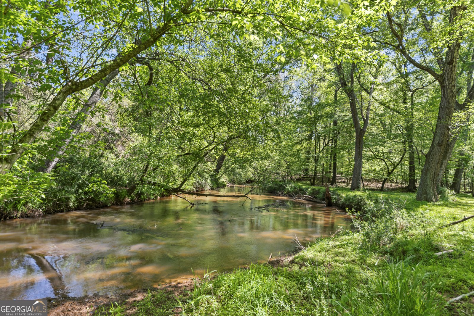 599 Double Branch Road Danielsville - Photo 24