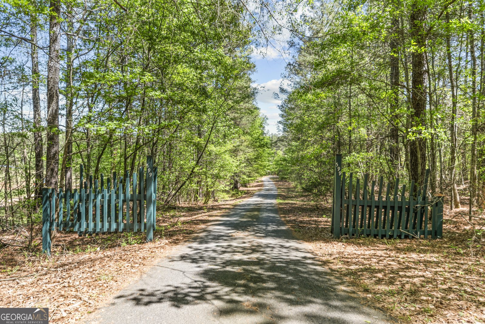 599 Double Branch Road Danielsville - Photo 29