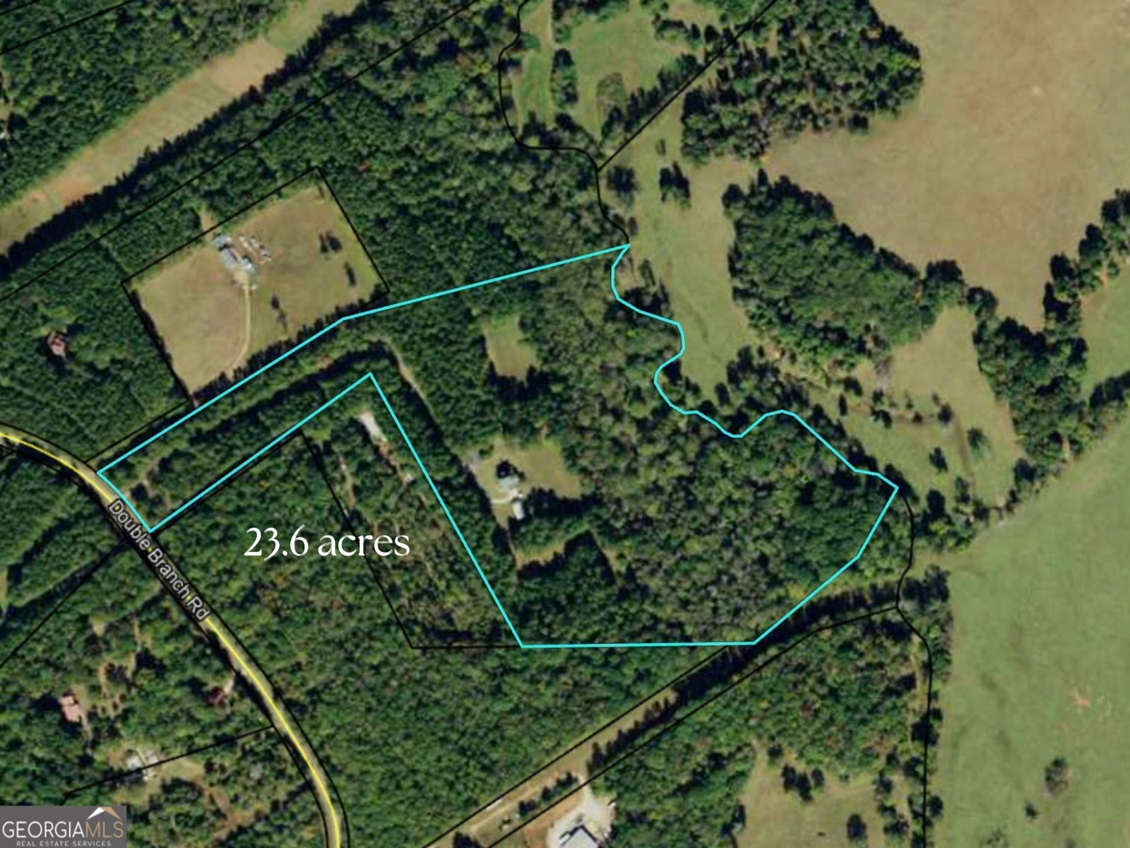 599 Double Branch Road Danielsville - Photo 52