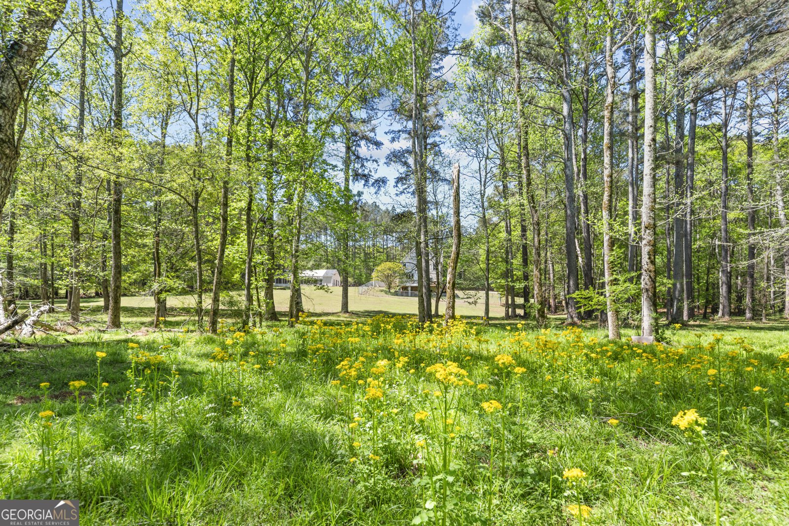 599 Double Branch Road Danielsville - Photo 60