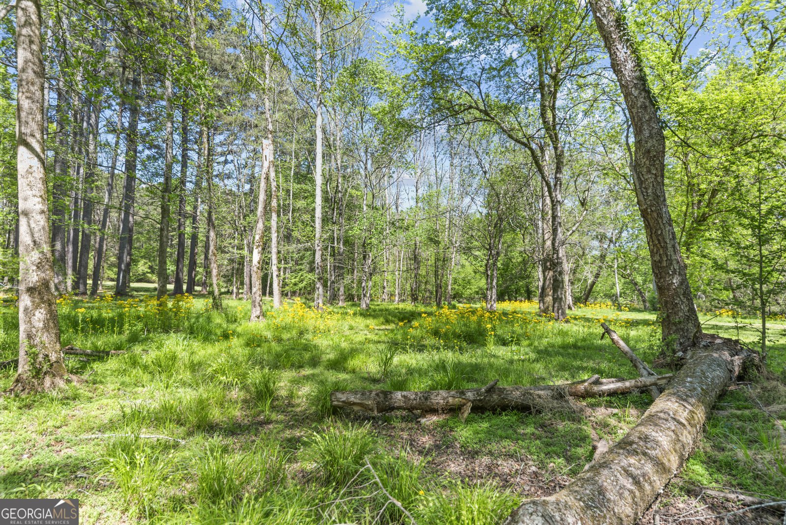 599 Double Branch Road Danielsville - Photo 61