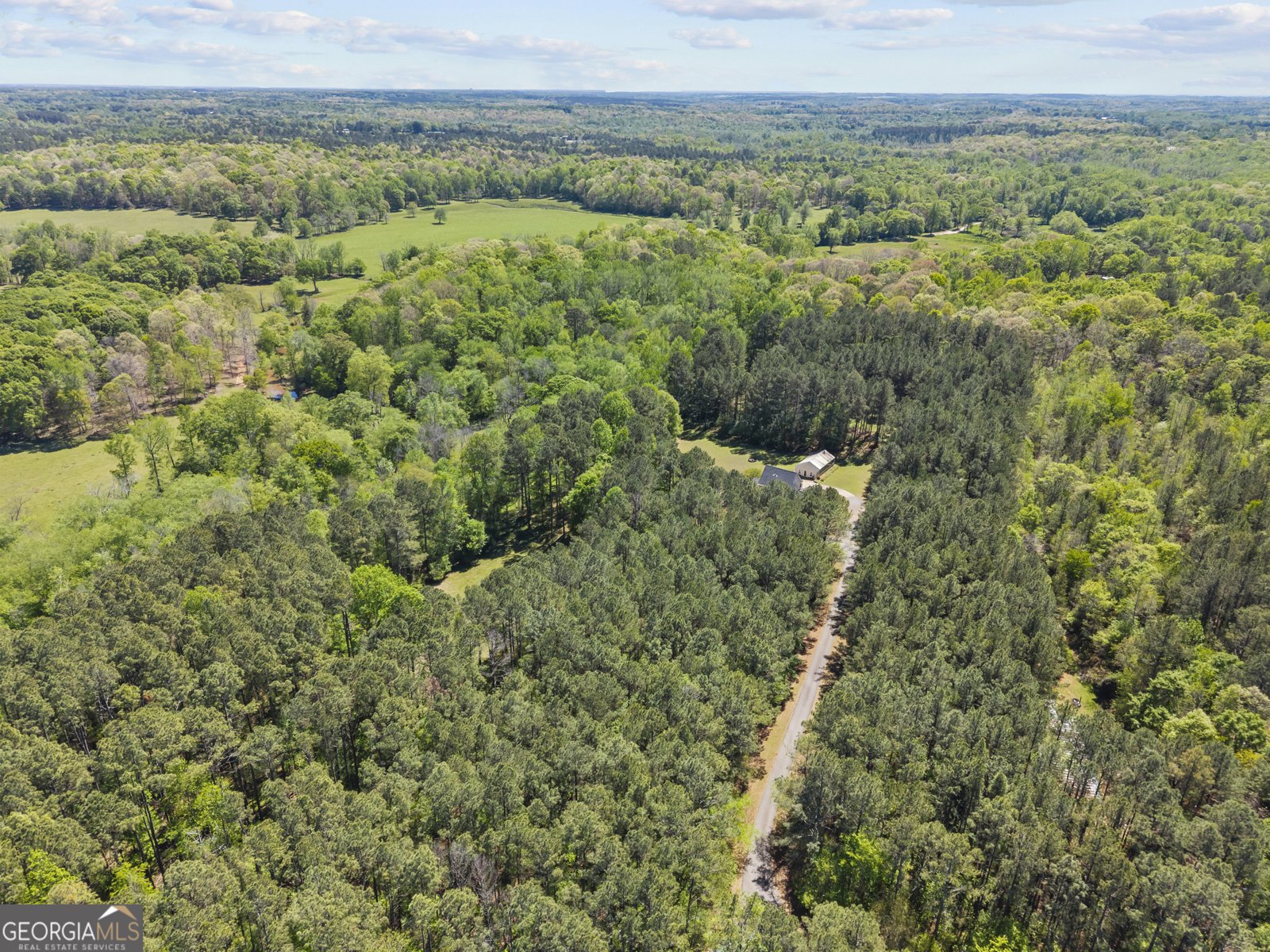 599 Double Branch Road Danielsville - Photo 65