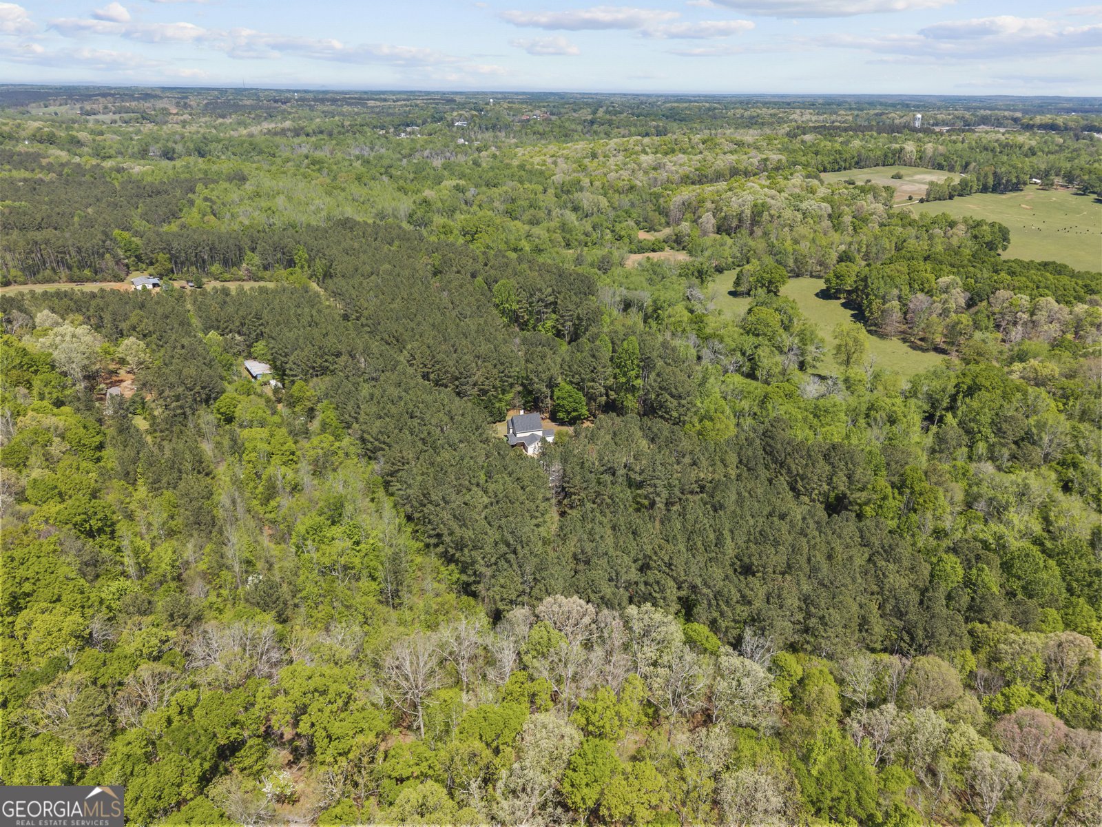 599 Double Branch Road Danielsville - Photo 69