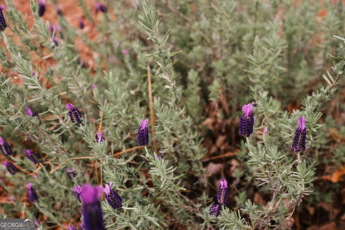 195 Arbor View Drive Athens - Photo 53