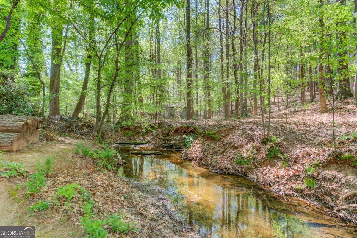 3220 Governors Court Duluth - Photo 47