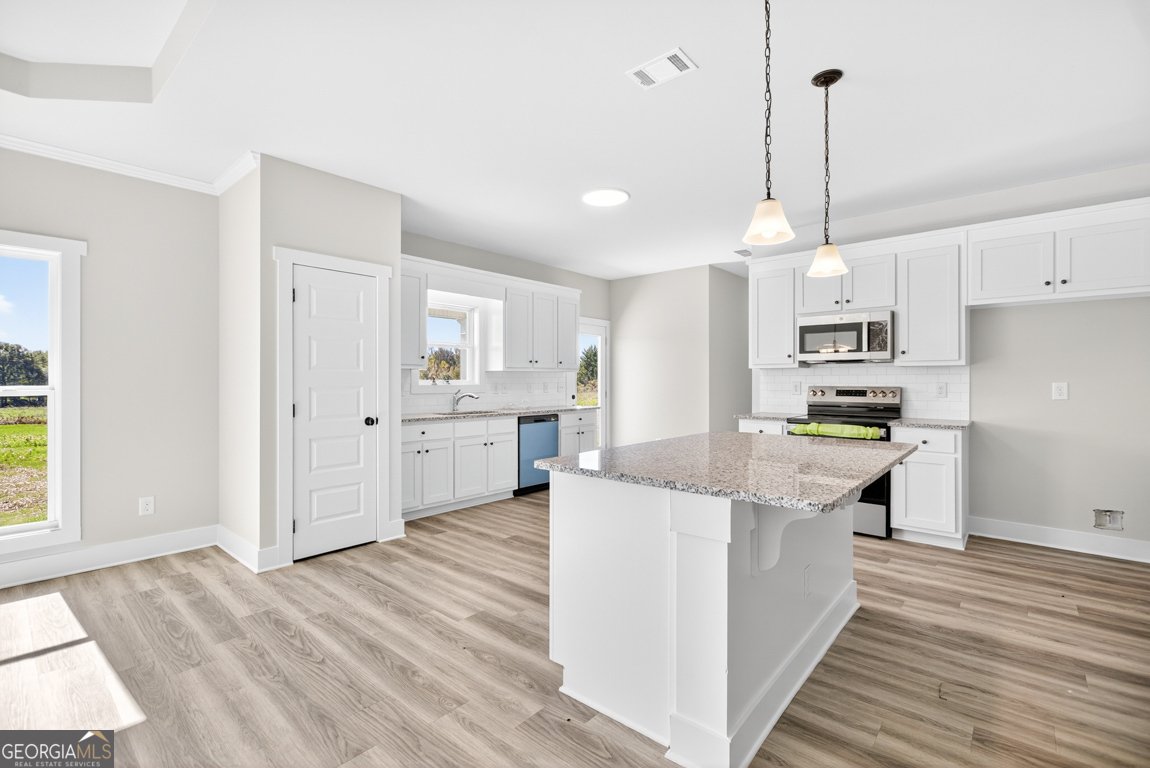 2597 Bethany Bowersville Road Canon - Photo 11