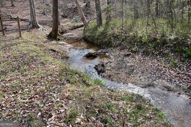 6126 Mize Road Toccoa - Photo 13