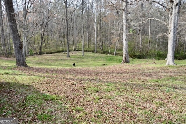 6126 Mize Road Toccoa - Photo 14