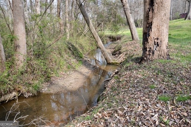 6126 Mize Road Toccoa - Photo 15