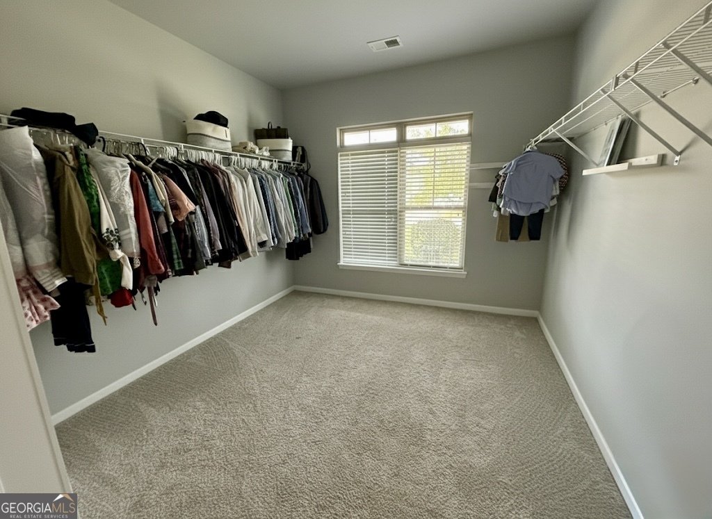 310 Savannah Drive Senoia - Photo 15