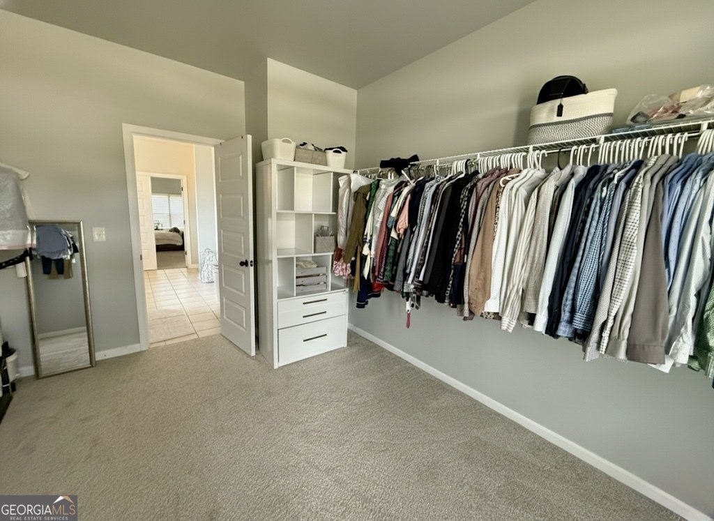 310 Savannah Drive Senoia - Photo 16