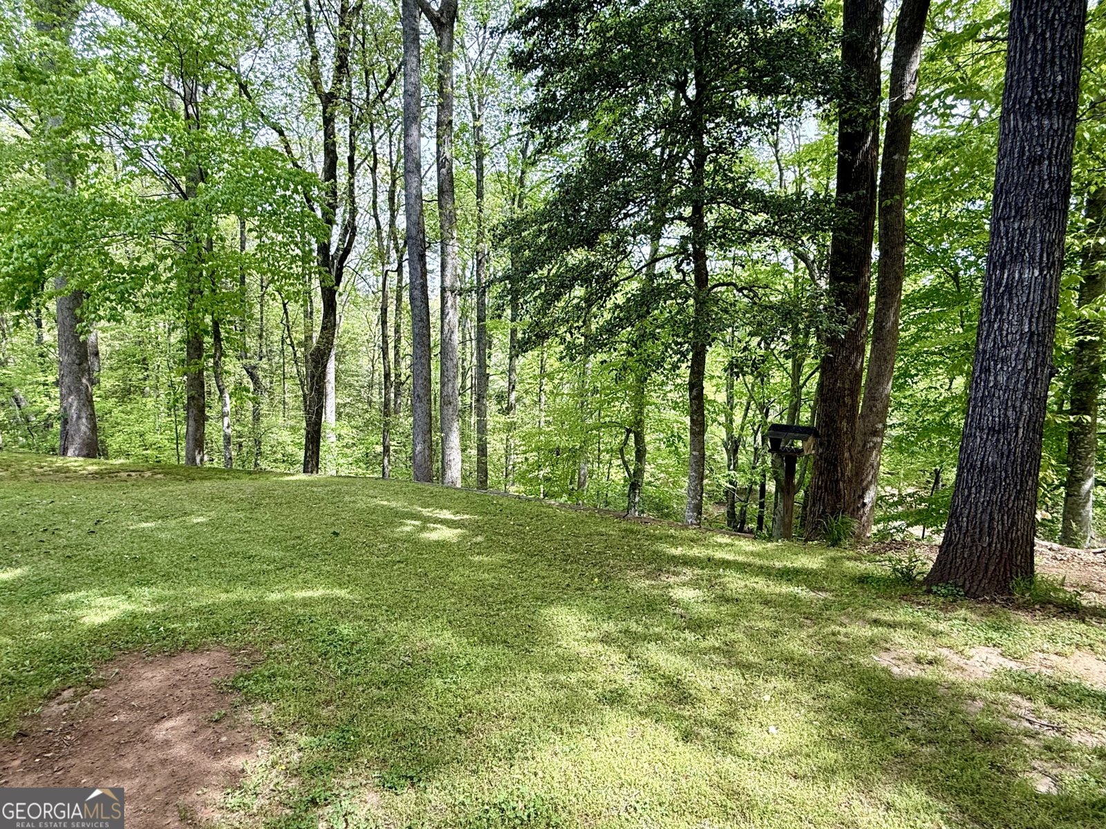 442 Creek View Court McDonough - Photo 21