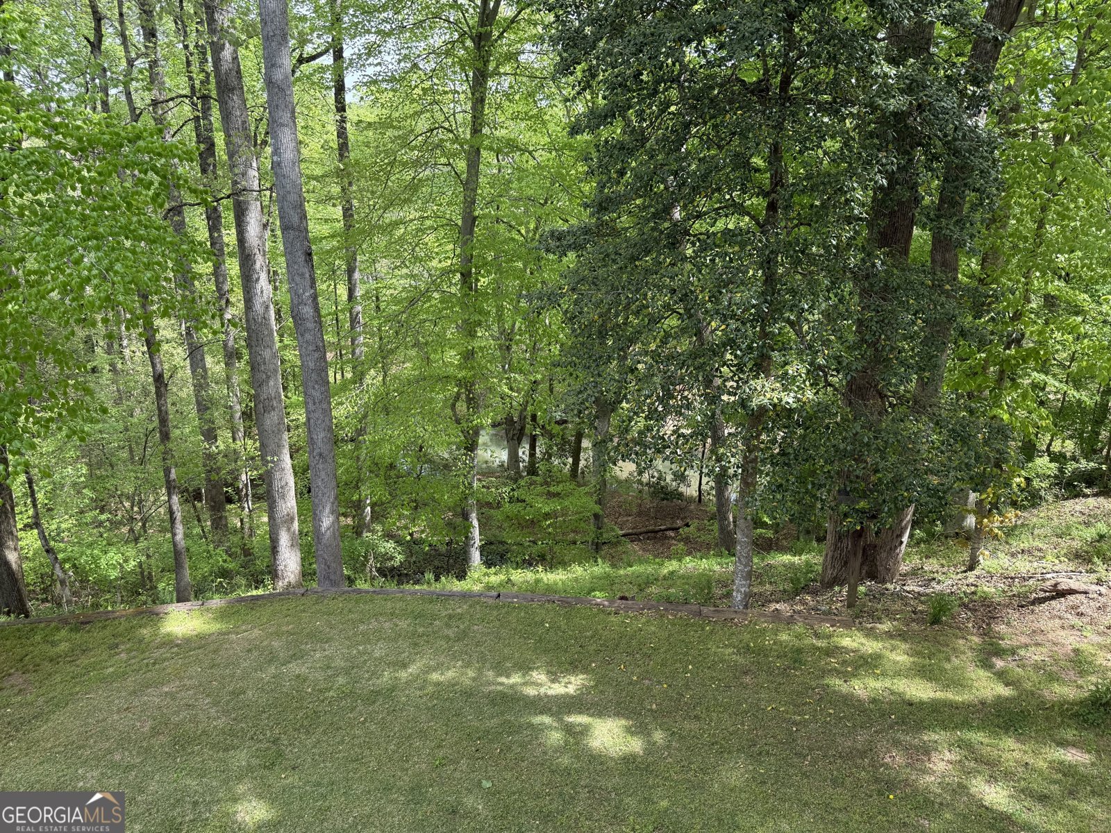 442 Creek View Court McDonough - Photo 23