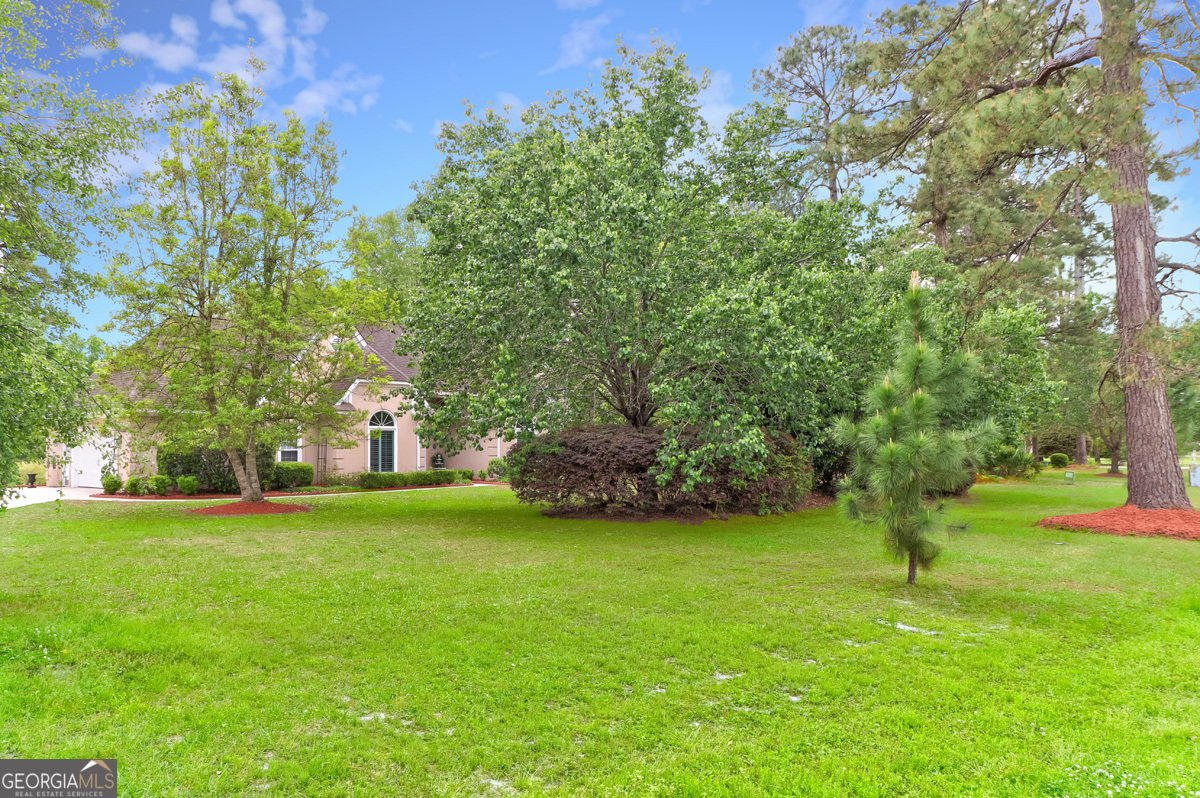 109 Saint Andrews Road Rincon - Photo 53