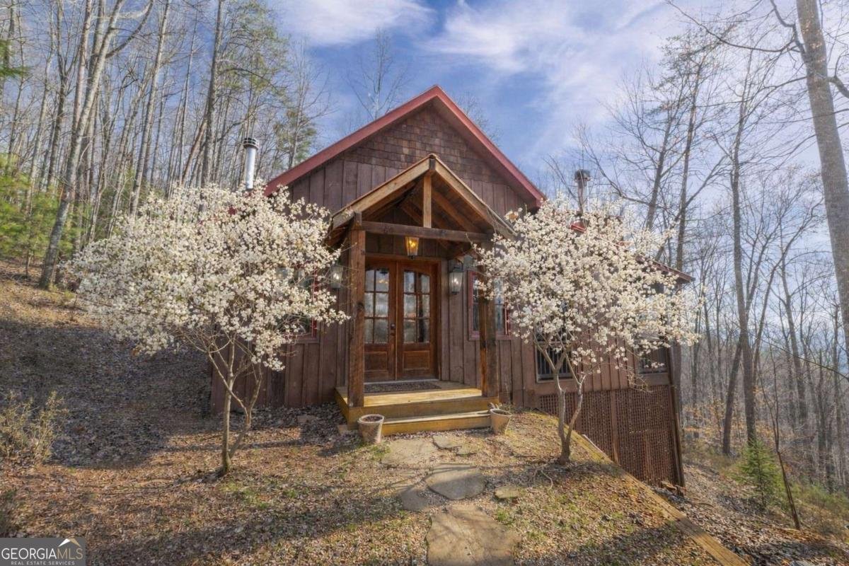 766 Laurel Ridge Drive Blue Ridge - Photo 1