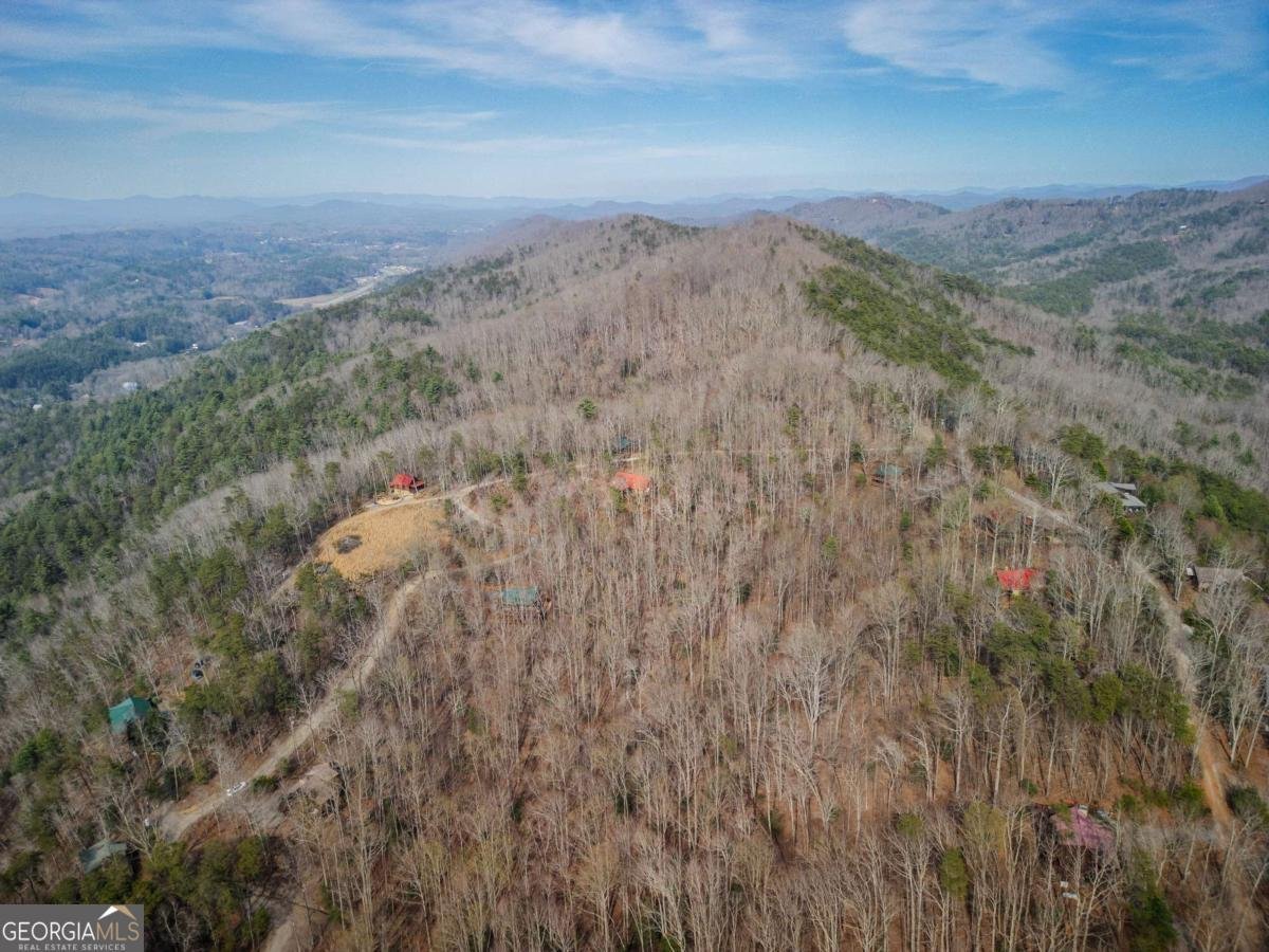 766 Laurel Ridge Drive Blue Ridge - Photo 35