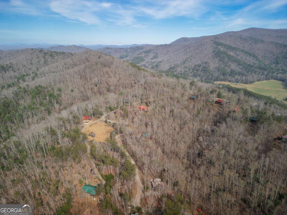 766 Laurel Ridge Drive Blue Ridge - Photo 36