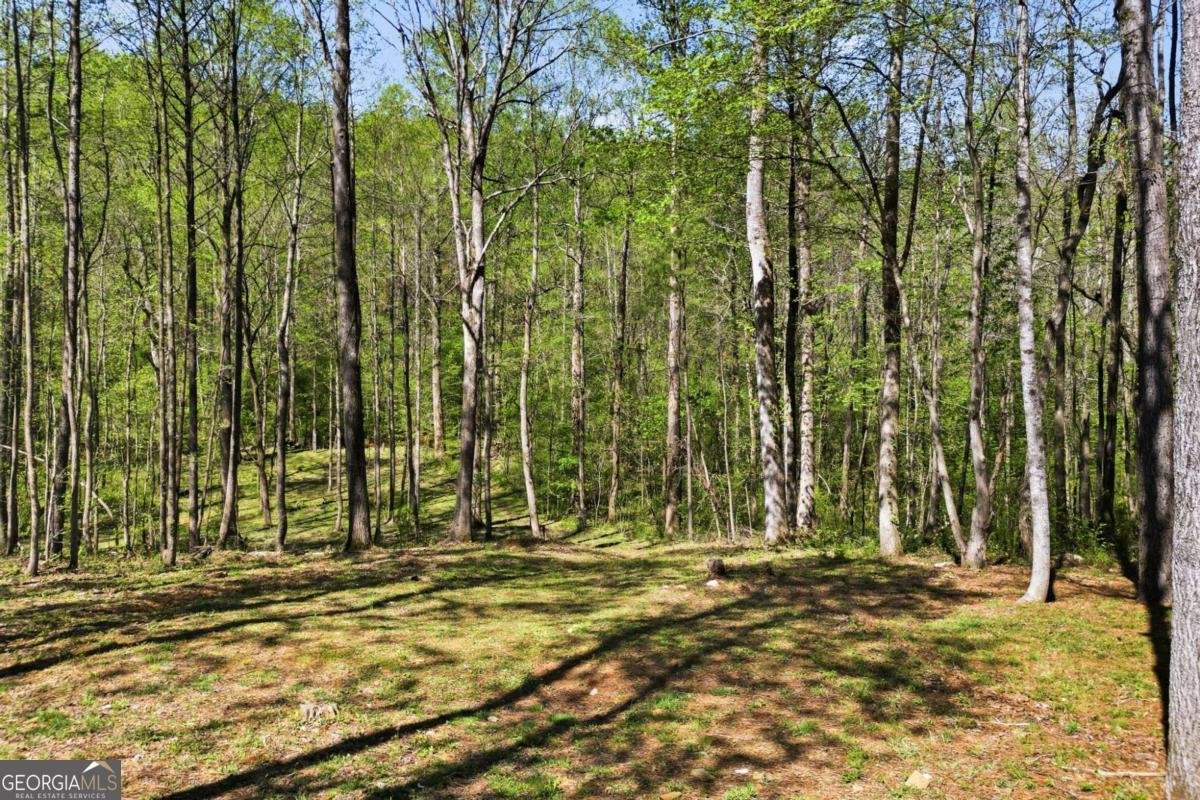 240 Mill Pond Court Jasper - Photo 34