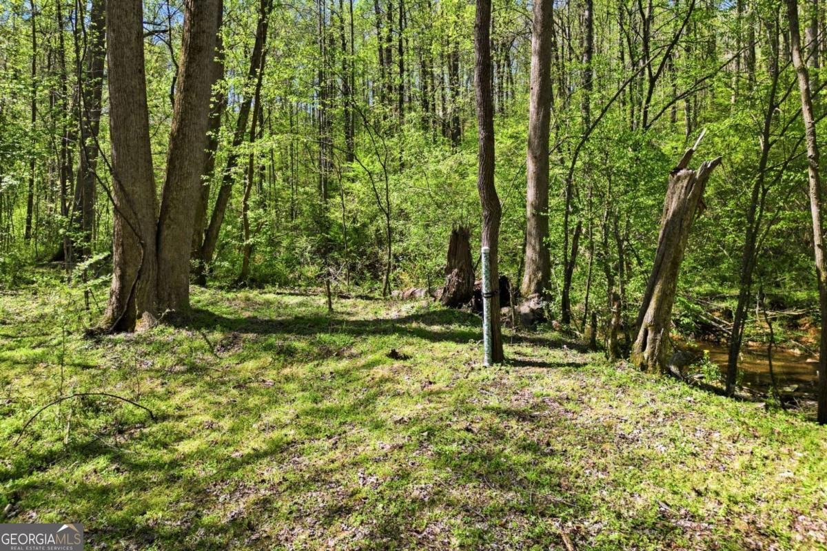 240 Mill Pond Court Jasper - Photo 35