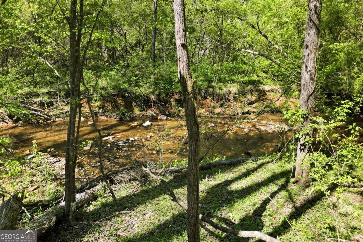 240 Mill Pond Court Jasper - Photo 36