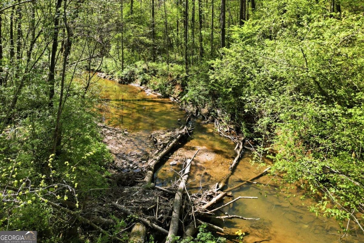 240 Mill Pond Court Jasper - Photo 37