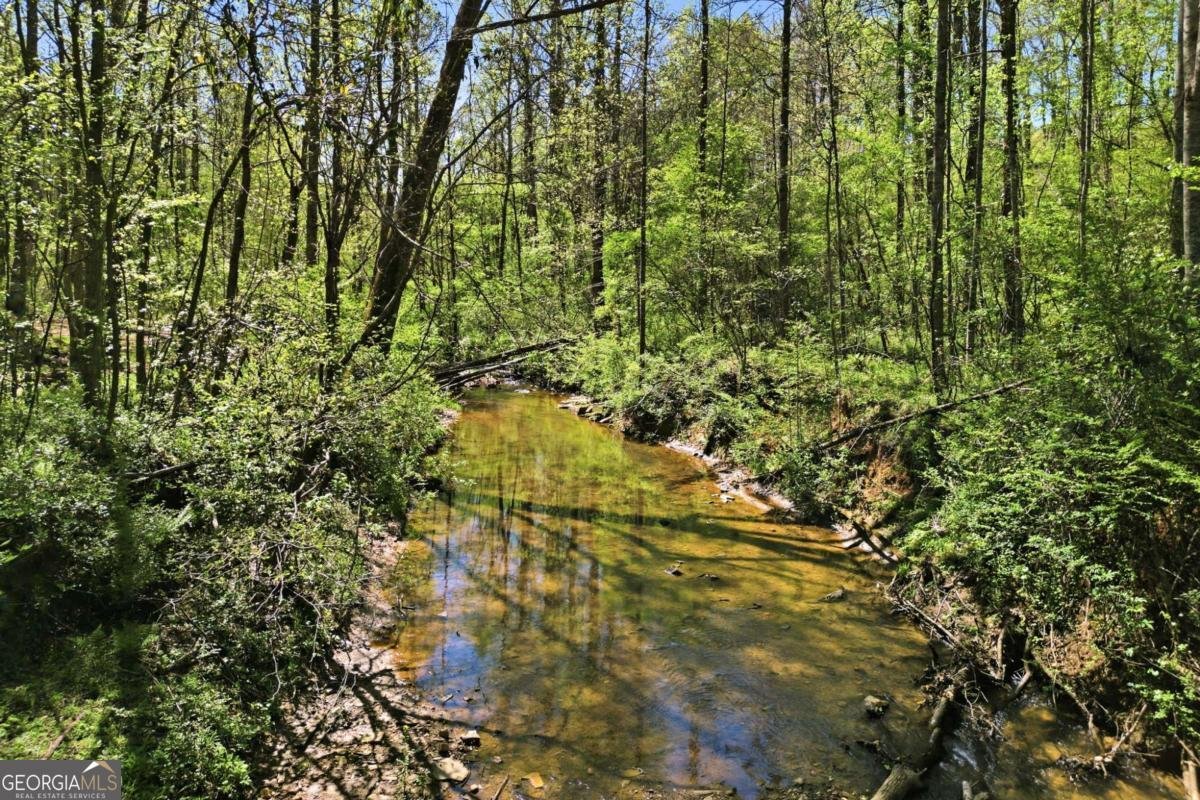 240 Mill Pond Court Jasper - Photo 38