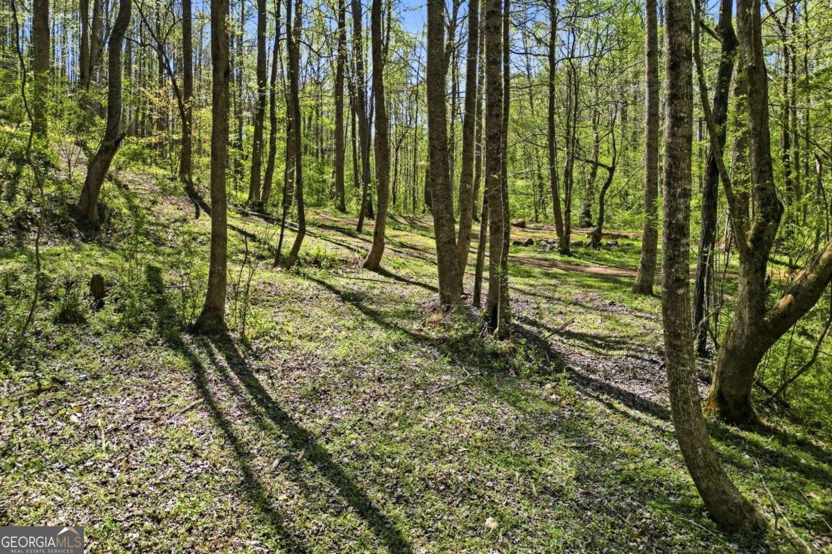 240 Mill Pond Court Jasper - Photo 39