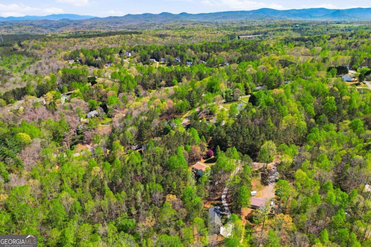 240 Mill Pond Court Jasper - Photo 43