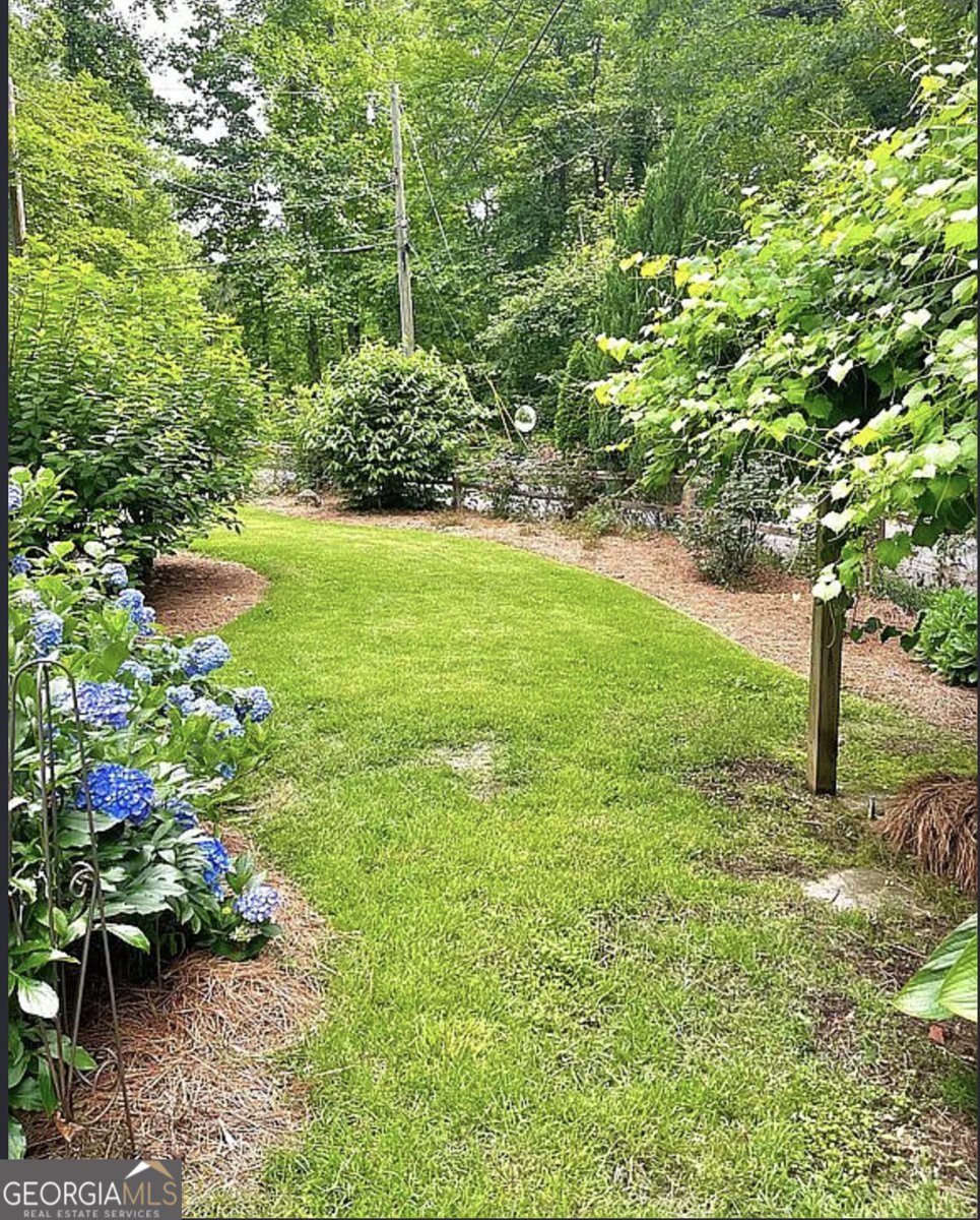 1116 Highway 76 Clayton - Photo 17