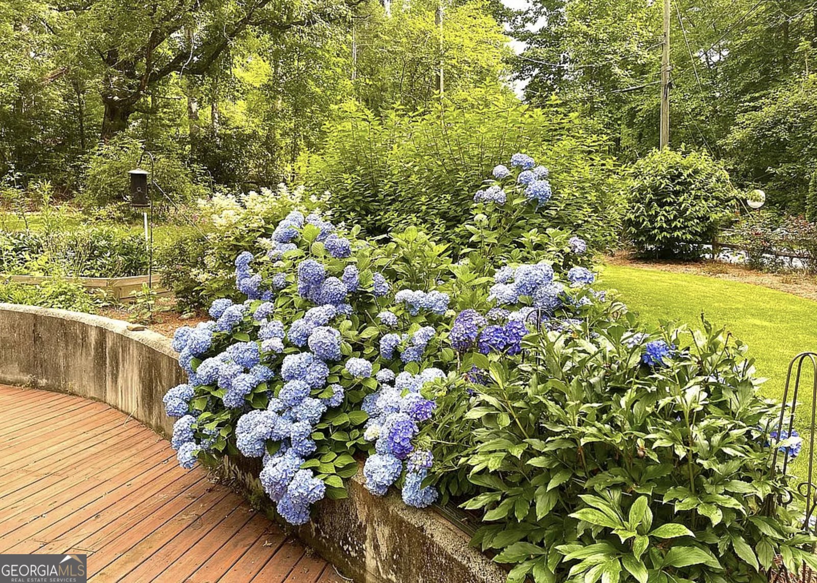 1116 Highway 76 Clayton - Photo 18