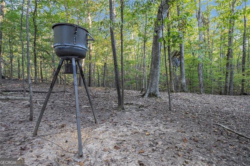 2170 Taylorsville Road Taylorsville - Photo 46