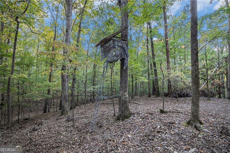 2170 Taylorsville Road Taylorsville - Photo 47