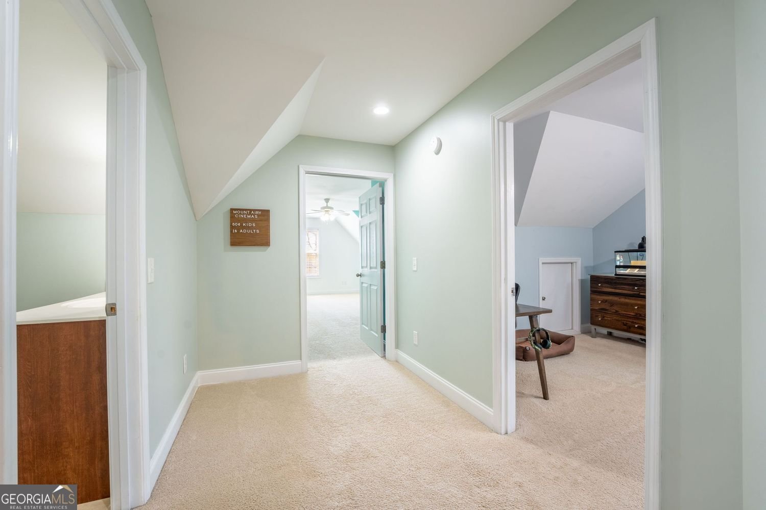 268 Woods Drive Mount Airy - Photo 73