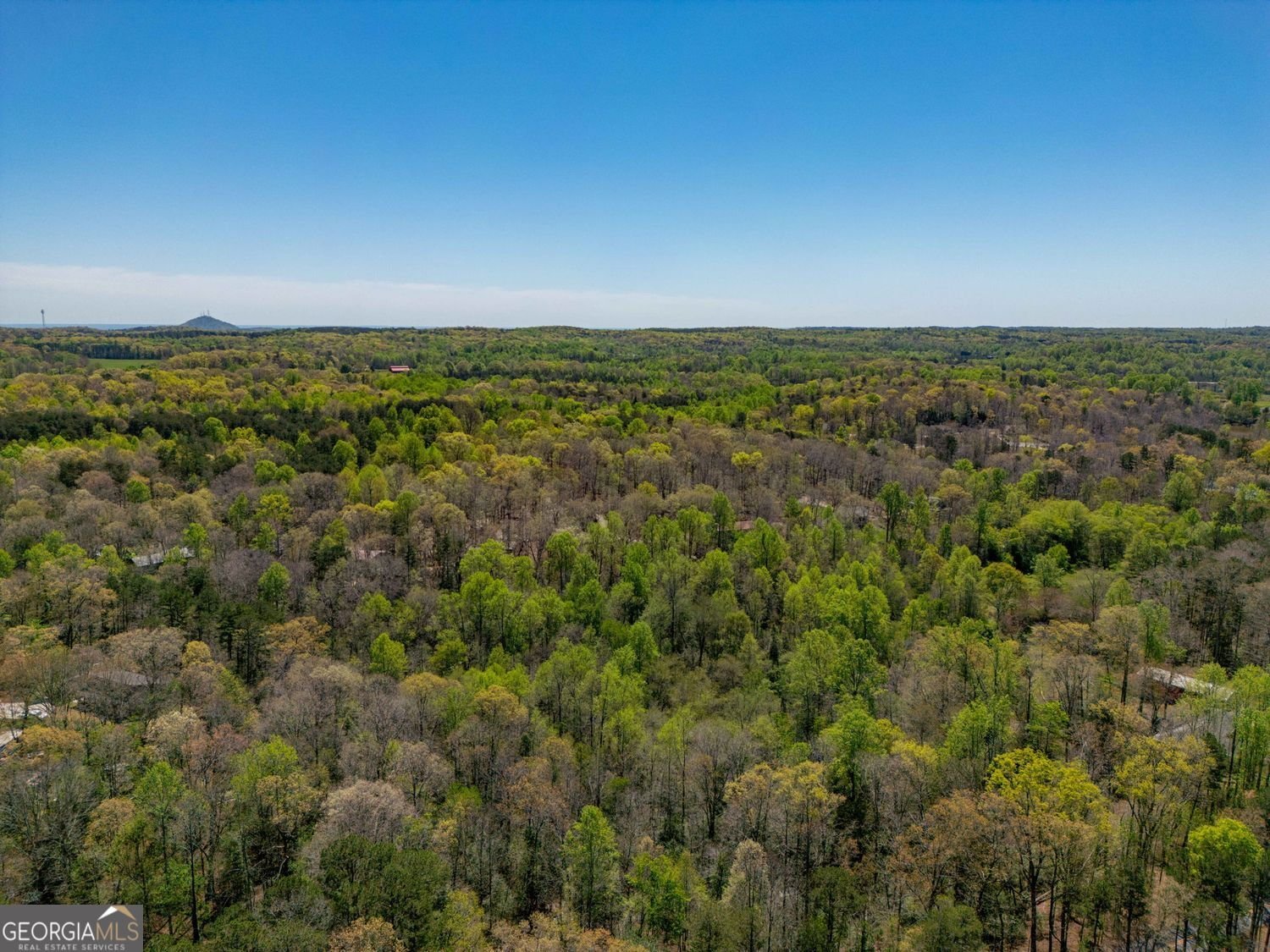 268 Woods Drive Mount Airy - Photo 94