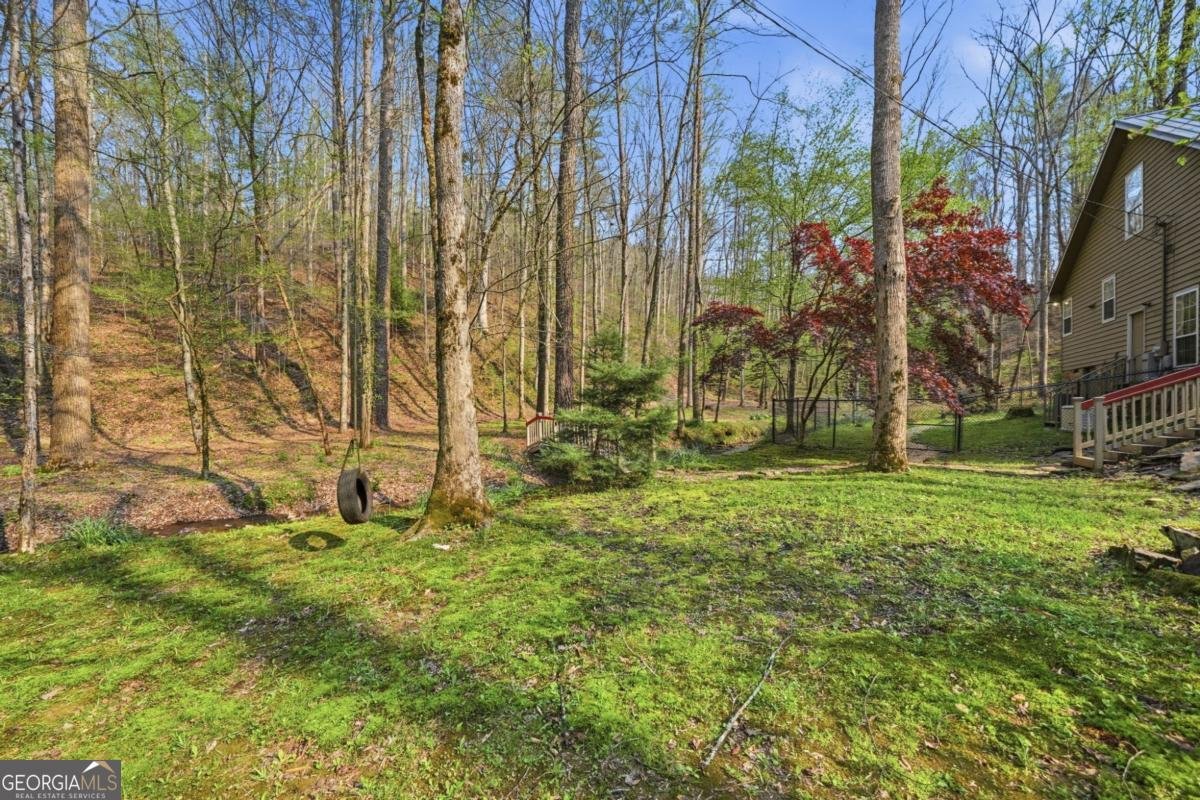 434 Lemmon Drive Ellijay - Photo 39