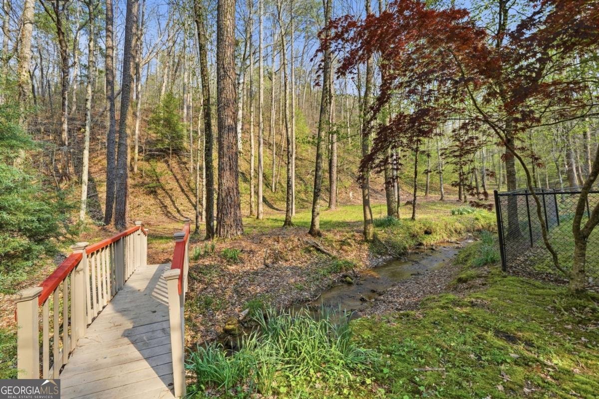 434 Lemmon Drive Ellijay - Photo 40