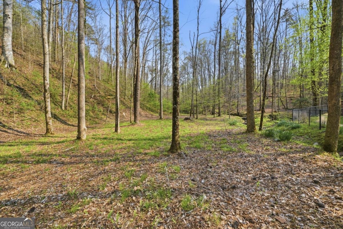 434 Lemmon Drive Ellijay - Photo 41