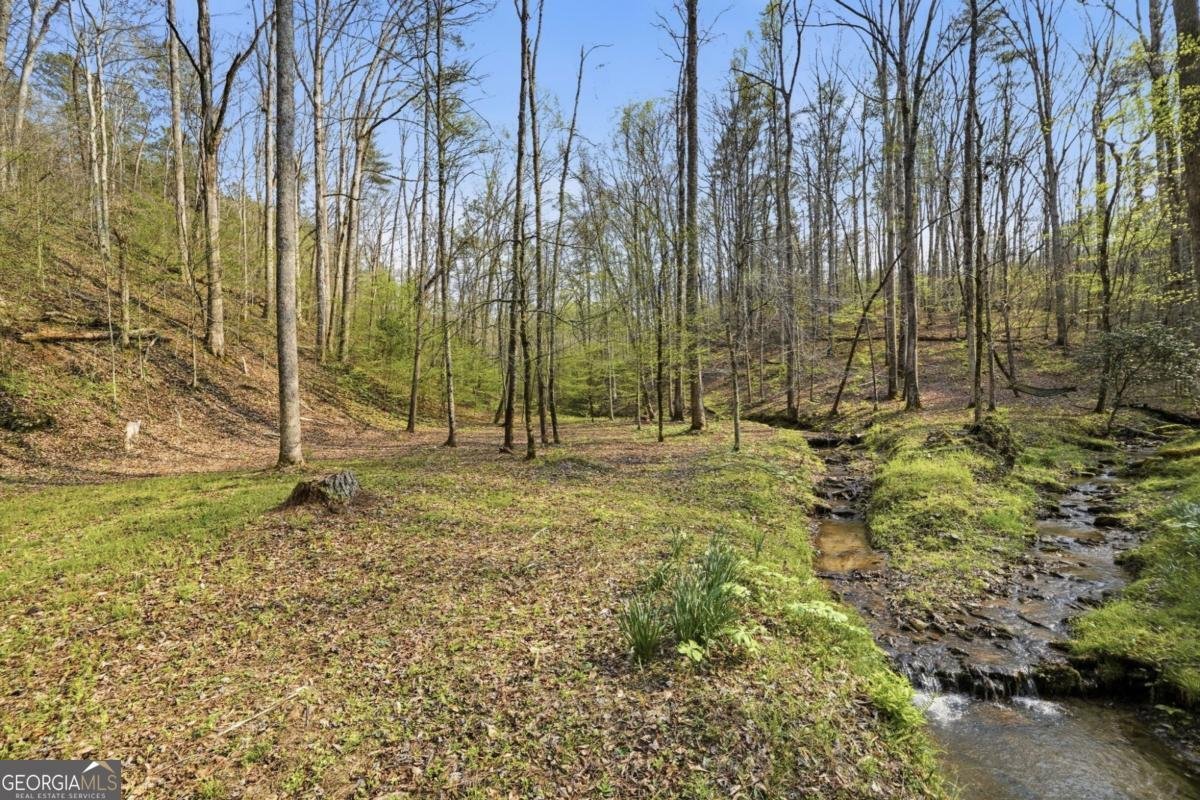 434 Lemmon Drive Ellijay - Photo 42