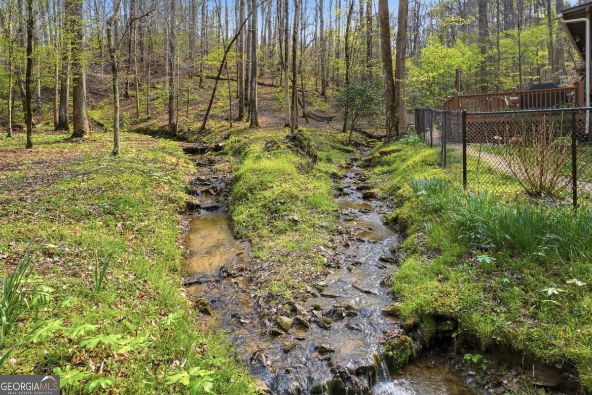 434 Lemmon Drive Ellijay - Photo 43