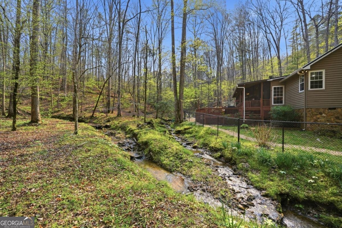 434 Lemmon Drive Ellijay - Photo 44