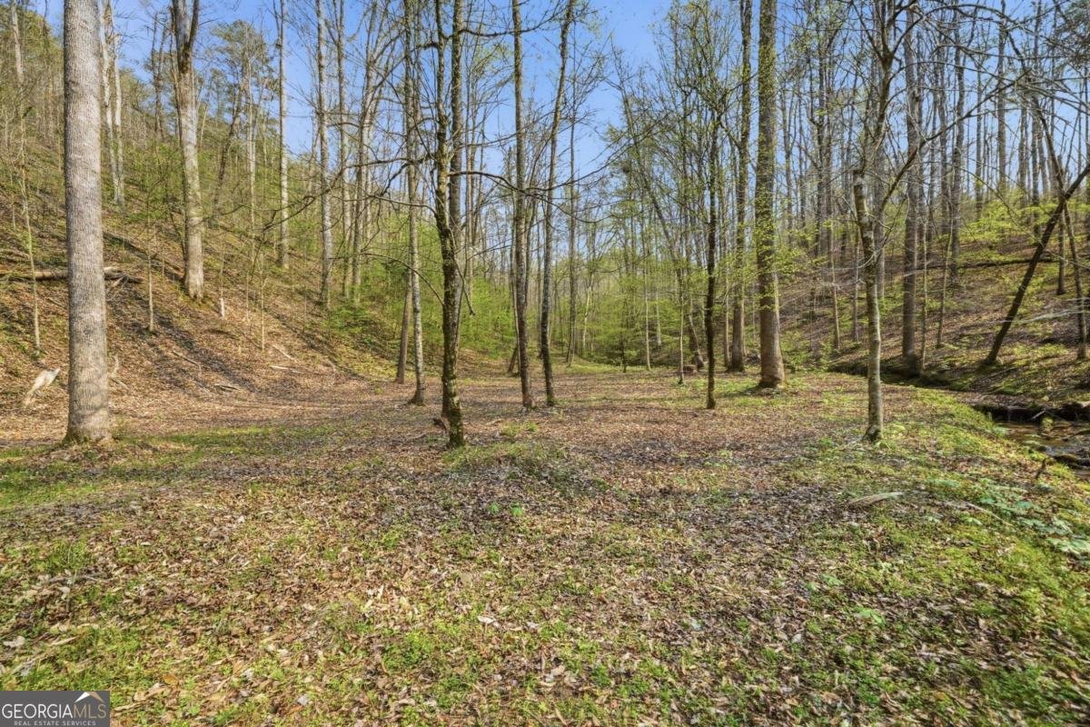 434 Lemmon Drive Ellijay - Photo 45