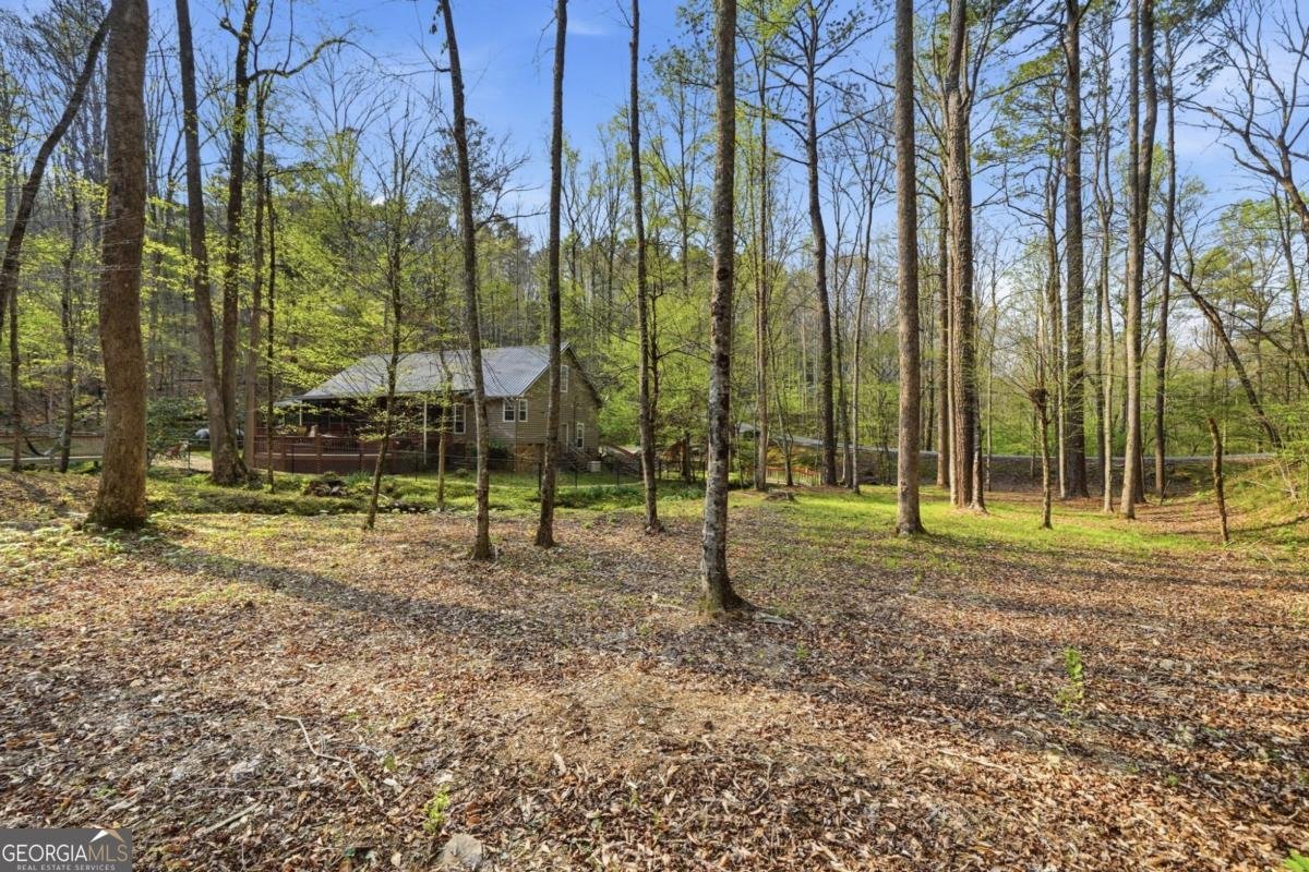 434 Lemmon Drive Ellijay - Photo 47