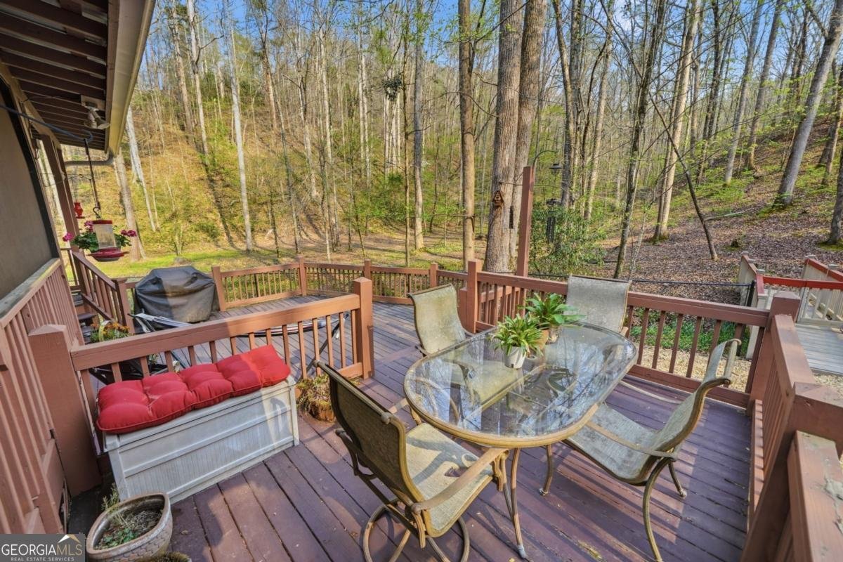 434 Lemmon Drive Ellijay - Photo 53