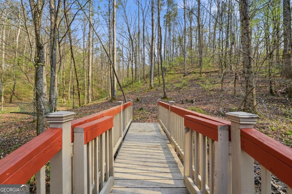 434 Lemmon Drive Ellijay - Photo 56