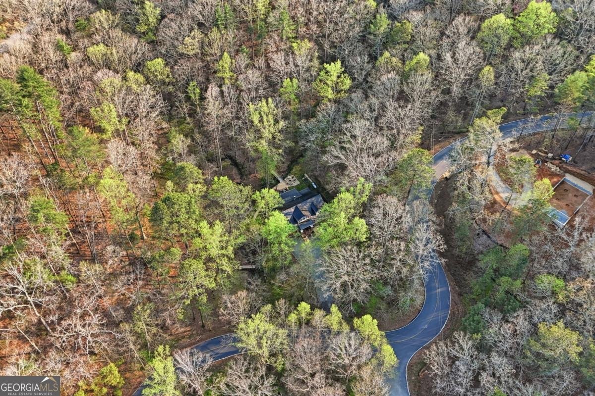 434 Lemmon Drive Ellijay - Photo 62