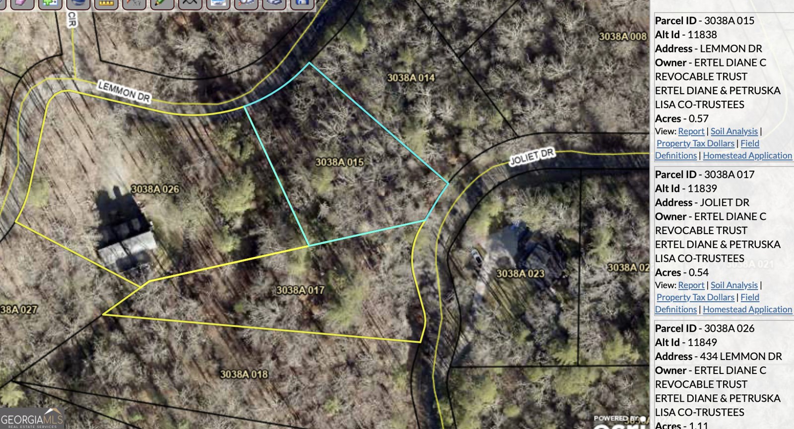 434 Lemmon Drive Ellijay - Photo 63