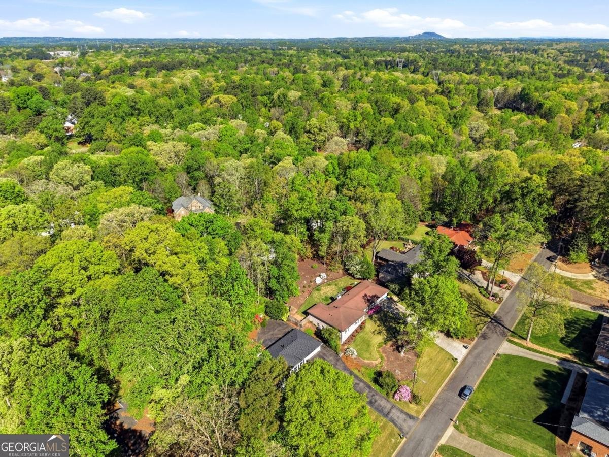 957 Richmond Hill Drive Marietta - Photo 43